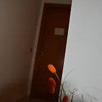 Trappetodavivere 3*